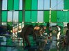 DSCF3573
